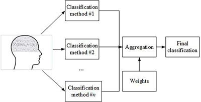 Recognition of Electroencephalography-Related Features of Neuronal Network Organization in Patients With Schizophrenia Using the Generalized Choquet Integrals